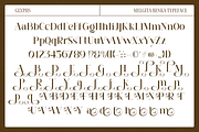 Melgita Benka - Beauty Skincare Font, a Serif Font by Pandeka Studio (Thumbnail 10 of 10)