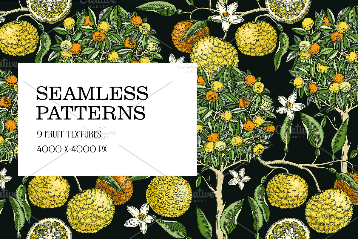 Yuzu - Citrus Fruit and Patterns, a Food Illustration by Yevheniia (Photo 7 of 12)