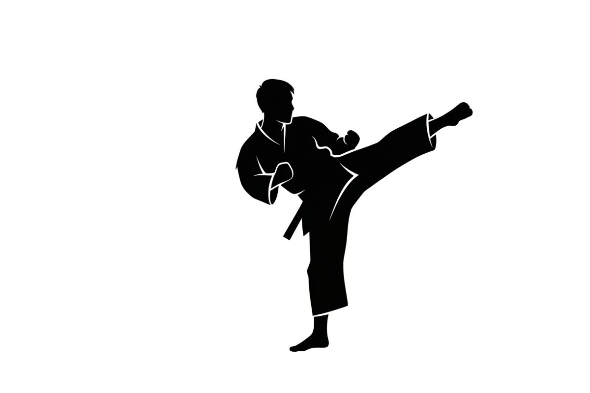 Dynamic martial arts kick silhouette, a Graphic by Amazin_art (Photo 24 of 36)