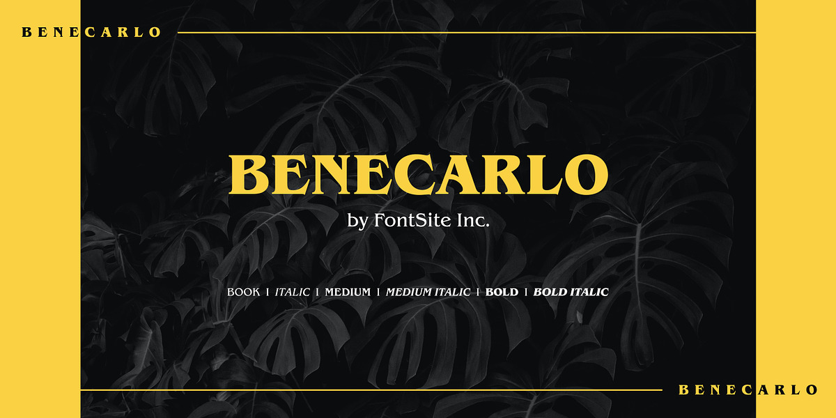 Benecarlo, a Serif Font by FontSite Inc. (Photo 1 of 2)