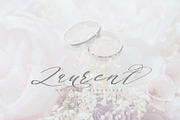 Authumn Sofia | Calligraphy Font, a Script Font by Analogous (Thumbnail 4 of 16)