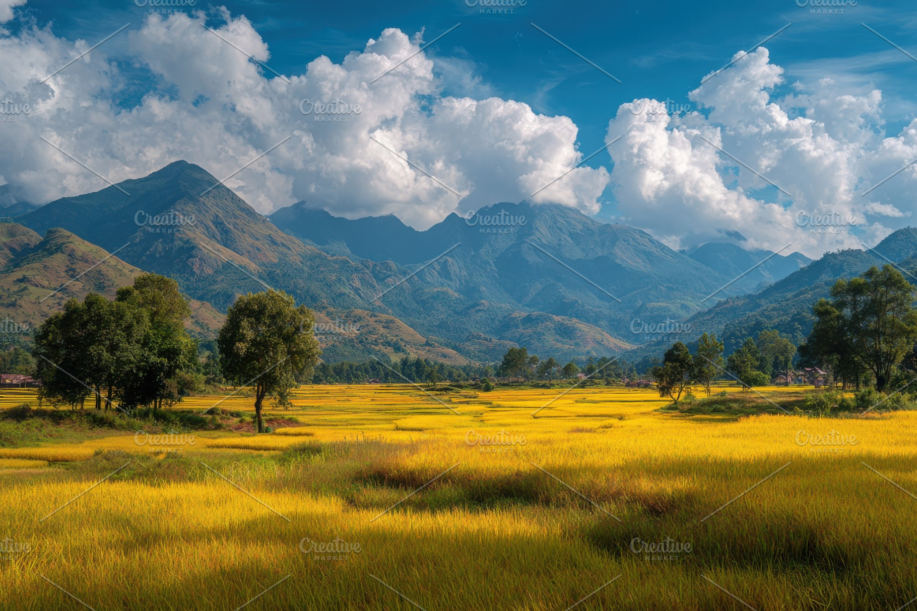 Golden Rice Fields Mountain Landscap, a Photo by Pixeness Studio