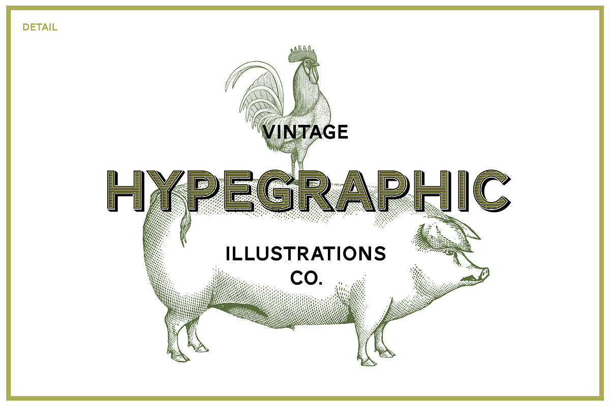 Animals Vector Vintage Illustrotions, an Animal Illustration by hypegraphic (Photo 5 of 5)