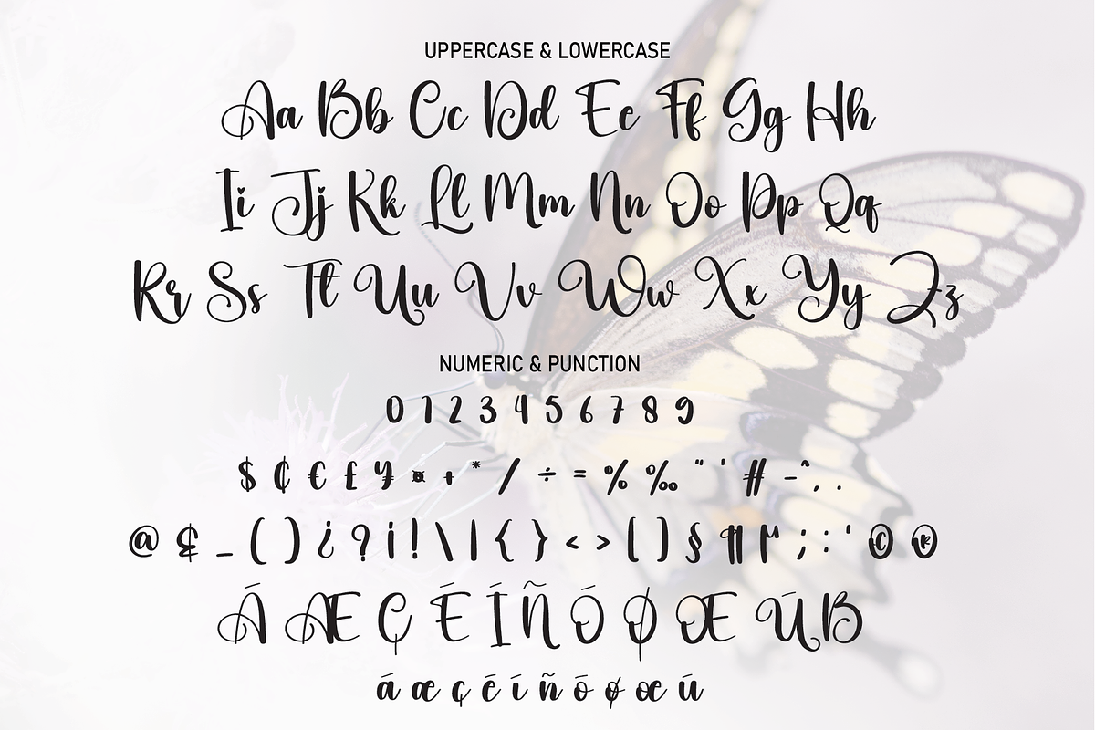 Beautiful Butterfly | Script Font, a Script Font by Scratchones (Photo 4 of 8)