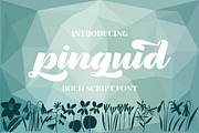 Pinguid | Bold Script Fonts, a Script Font by Astageni (Thumbnail 1 of 6)