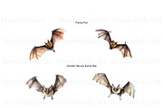 Watercolor Bat Clipart, Cute Bat PNG, an Animal Illustration by BrushstrokeArtGB (Thumbnail 5 of 9)