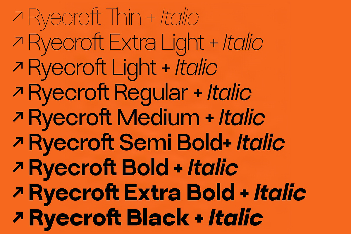 Ryecroft - Variable Sans Typeface, a Sans Serif Font by SilverStag Type Foundry (Photo 8 of 20)