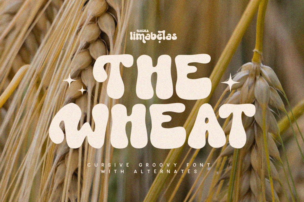 TheWheat Font, a Sans Serif Font by Angkalimabelas (Photo 1 of 5)