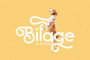 Bilage, a Sans Serif Font by 160 Studio (Thumbnail 1 of 15)