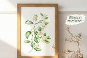 Watercolor snowberry clipart, an Illustration by OlDm_Shop (Thumbnail 8 of 11)