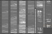 Artistic Brushes for Photoshop, a Brush Add-On by FaeryDesign (Thumbnail 3 of 3)