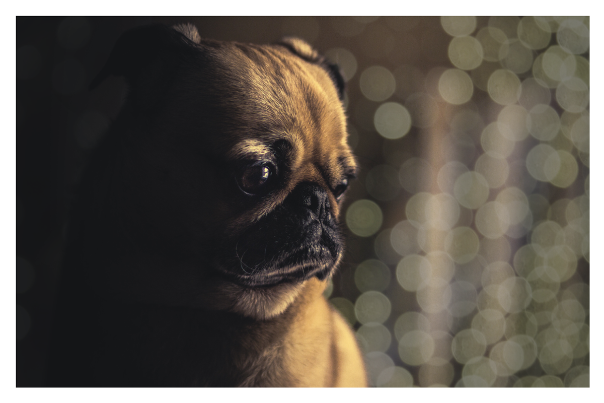 25 Real Bokeh Backgrounds / Overlays, a Texture Graphic by Uncommon Mockups (Photo 3 of 6)