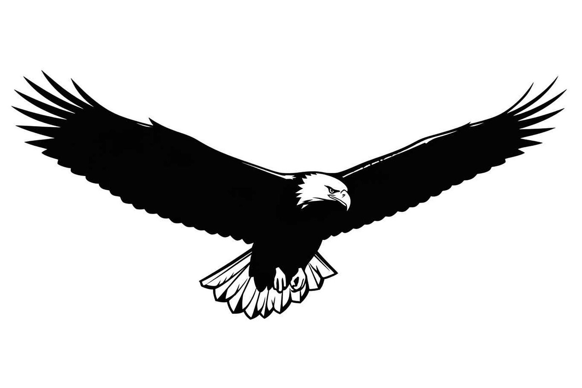 50 Flying Eagle Silhouette Vector Bu, an Illustration by Designs_River (Photo 32 of 51)