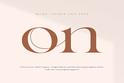 Richy - Unique Chic Font, a Serif Font by Sensatype (Thumbnail 17 of 21)