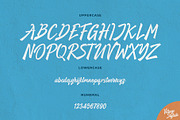 Village Stylish, a Script Font by Drizy (Thumbnail 2 of 8)