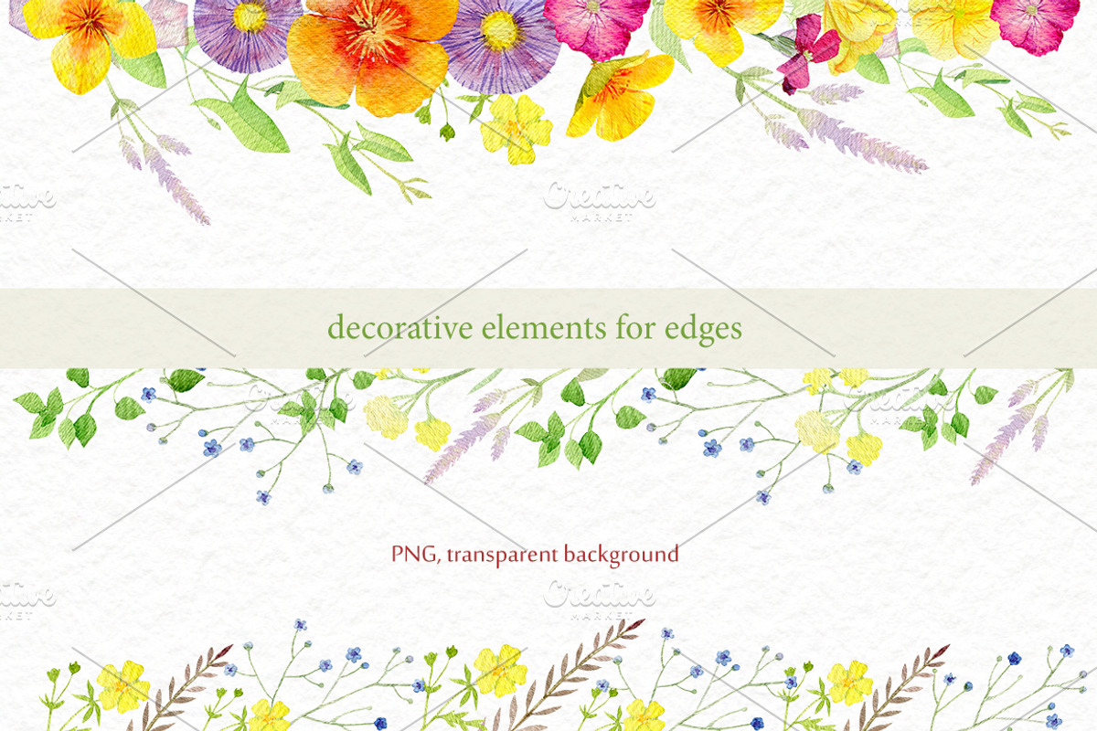 Wild flowers watercolor set, a Background Graphic by Elegantia (Photo 12 of 15)