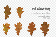 35 isolated autumn leaves png set, an Object Graphic by Lososenok (Thumbnail 4 of 5)