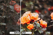 Vintage Film — LR Presets & Textures, an Action Add-On by Eugene Tantsurin (Thumbnail 6 of 13)