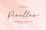 Pinellas Handwritten Script Font, a Script Font by Seagulls Creative (Thumbnail 1 of 9)