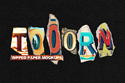 TOOORN - Series of Torn Paper Mockup, a Texture Graphic by BORT GRAPHIC (Thumbnail 12 of 12)