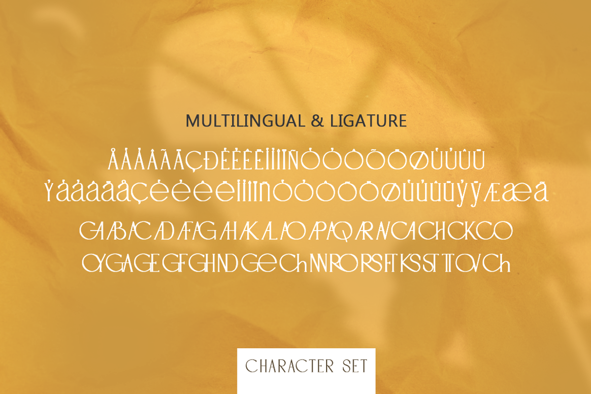 Cheyra - Modern Classic Font, a Sans Serif Font by Saxofont (Photo 9 of 10)