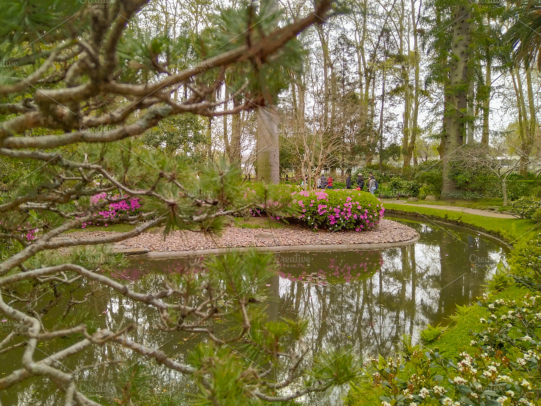 Japanese garden, botanic garden of montevideo city, uruguay, a Nature Photo by DanFLCreativo