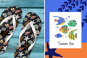 Fish & Seashells clipart, an Animal Illustration by Irina Ostapenko (Thumbnail 8 of 9)