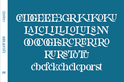 Grogie, a Serif Font by LuhopCreative (Thumbnail 5 of 12)