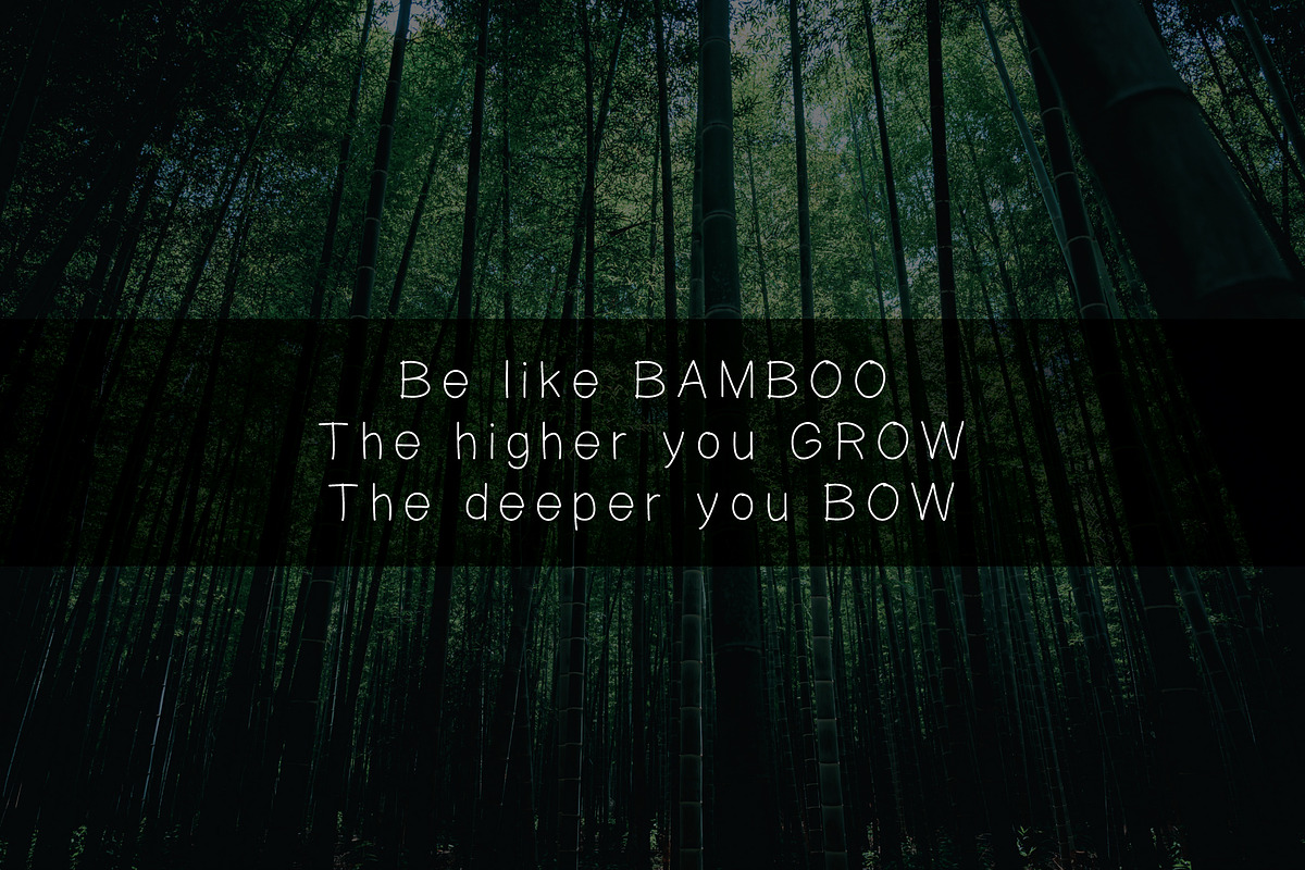 Bamboostick a Handwritten Font, a Font by Maximum Designstudio (Photo 4 of 5)