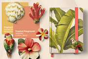 Tropical Playground PNG Objects, an Object Graphic by Iconogenic (Thumbnail 6 of 7)