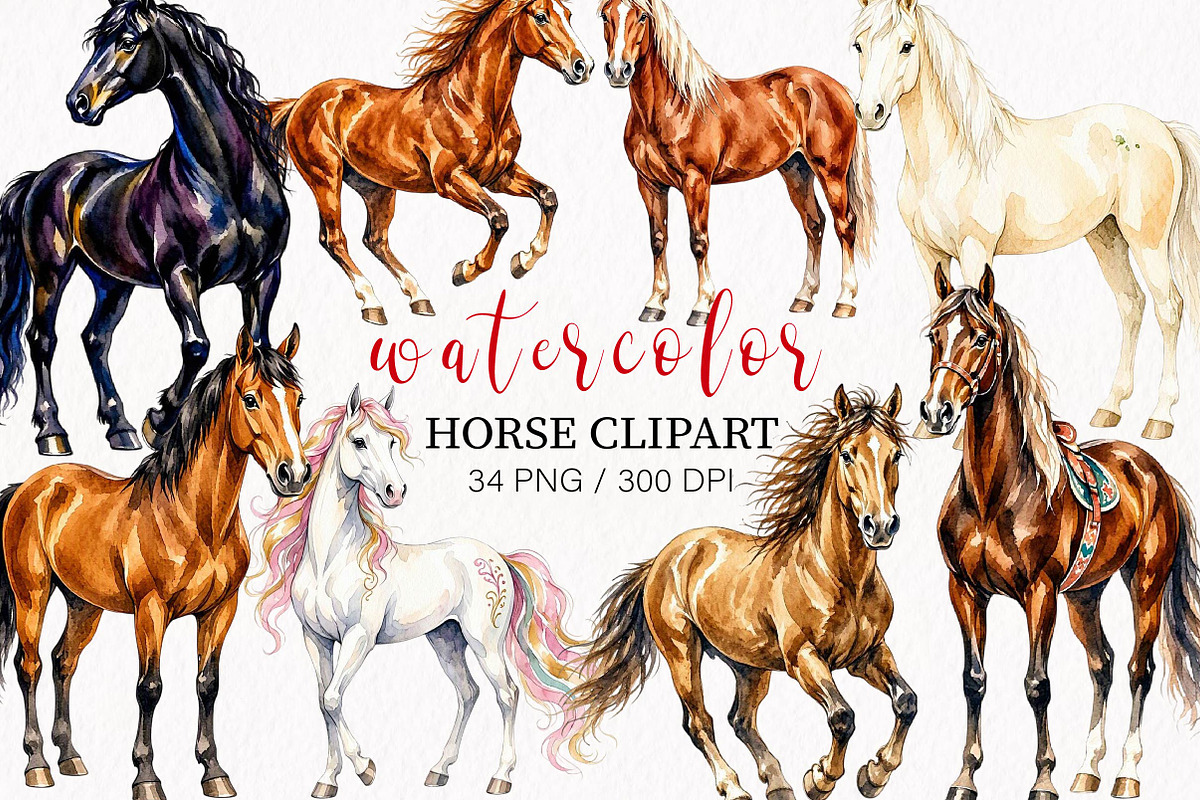 Watercolor Horse Clipart, an Animal Illustration by fashionaddict (Photo 1 of 7)