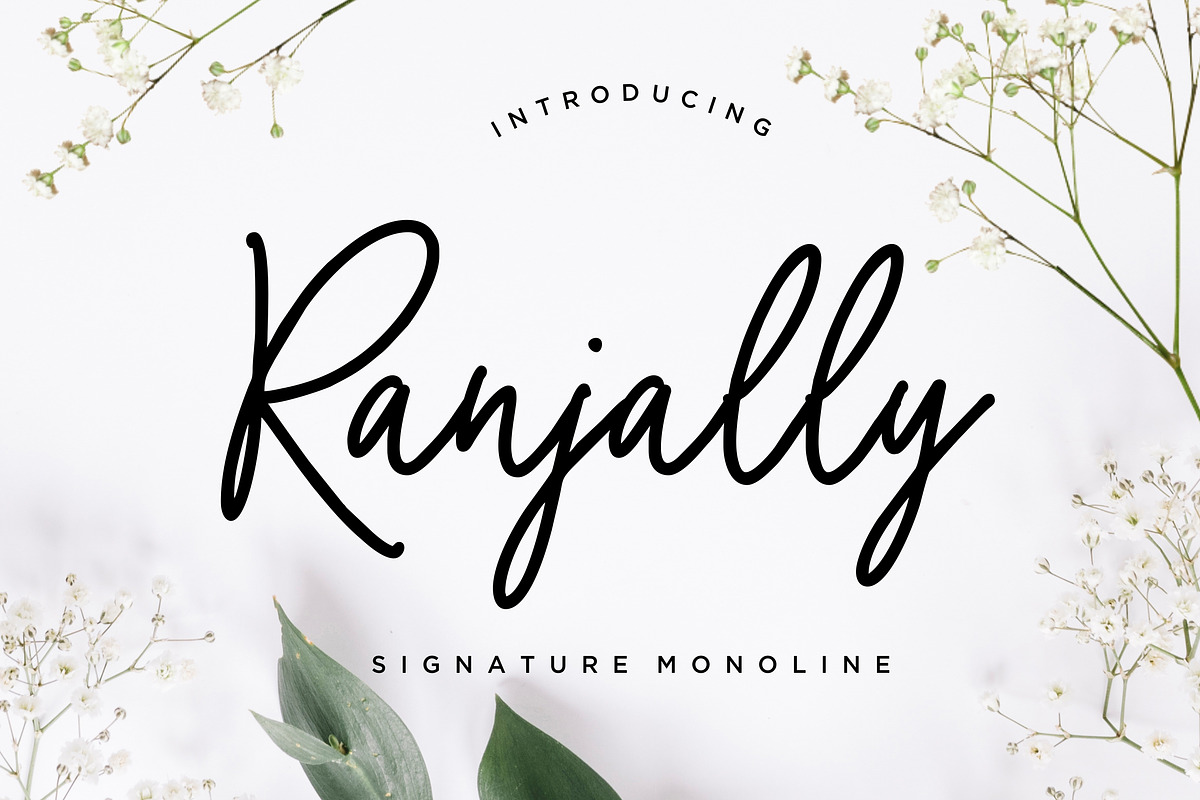 Ranjally Monoline Signature Business