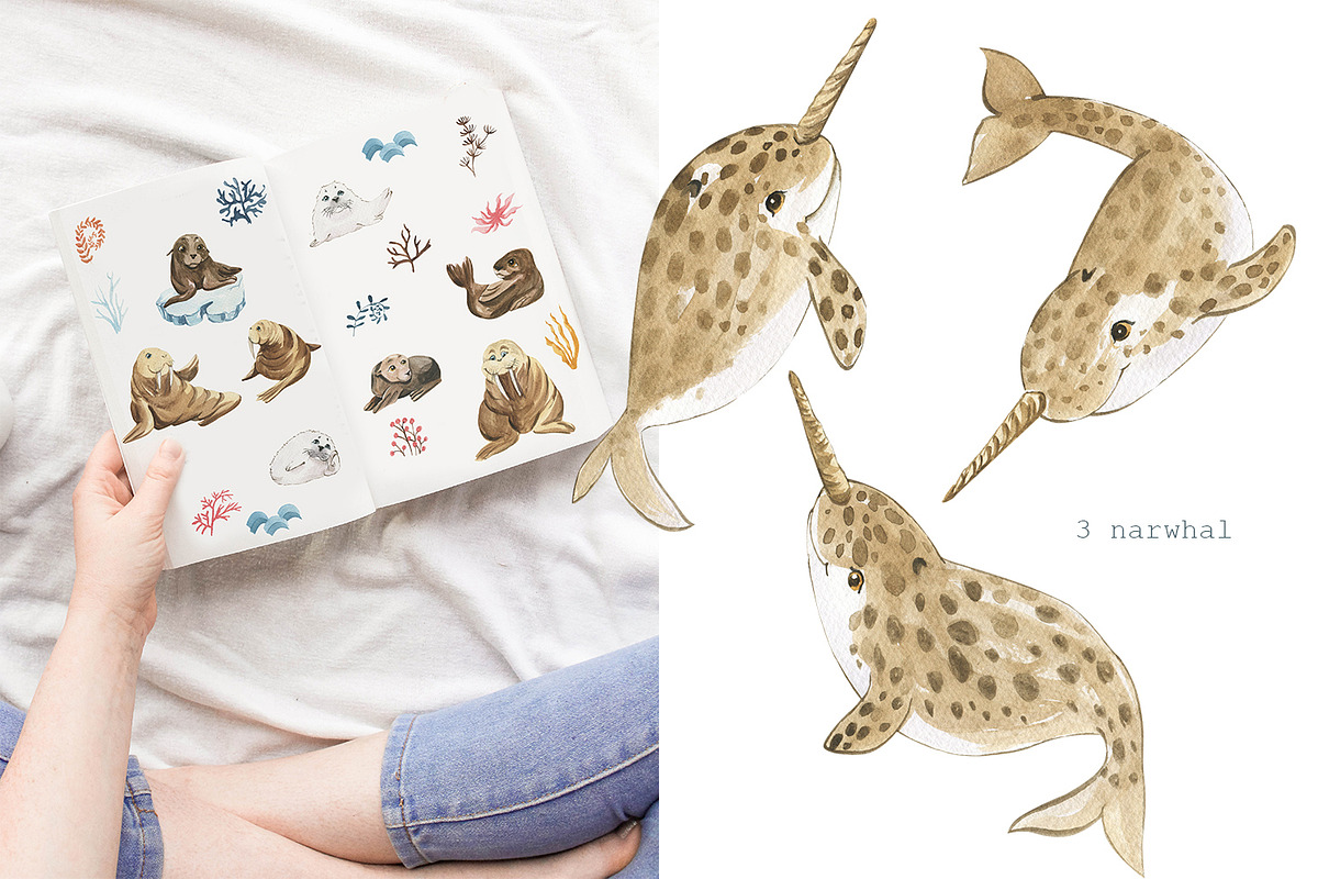Animals of the Arctic Ocean, an Illustration by Love Watercolor Store (Photo 2 of 8)