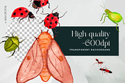 Watercolor Insects, Biological Set, an Illustration by Mia Digital (Thumbnail 5 of 5)