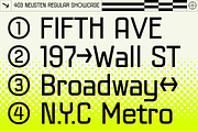 403 Neusten, a Sans Serif Font by 403 Type Foundry (Thumbnail 11 of 16)
