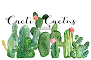 Cacti watercolor, cactus watercolor, an Illustration by SandraGraphicDesign (Thumbnail 1 of 6)