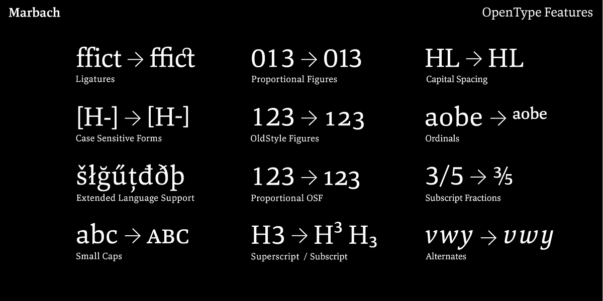 Marbach, a Serif Font by Hoftype (Photo 15 of 15)