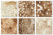 Deer Hide Digital Papers Fawn Fur, a Texture Graphic by Dream Creation (Thumbnail 5 of 7)