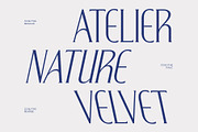 CS Blythe – Stylish Serif Font, a Serif Font by Craft Supply Co. (Thumbnail 3 of 8)