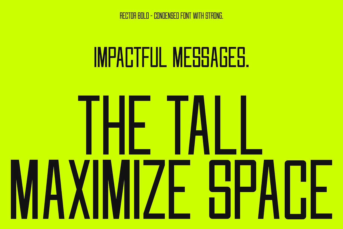 Rector, a Sans Serif Font by Lemockup (Photo 12 of 13)