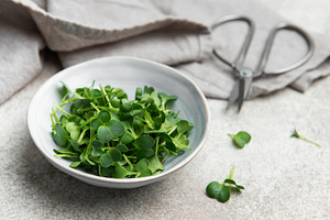 Fresh microgreens of radish ready for healthy salad in a bowl, a Food & Drink Photo by Olena Rudo