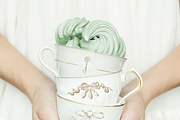 Elegant Pine Vintage Vector Set, a Decorative Illustration by Beauty Drops (Thumbnail 3 of 9)
