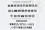With Winter, a Script Font by InermediaSTUDIO (Thumbnail 7 of 7)