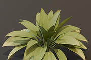 The Haran Bush, a Plants & Tree 3D Model by FuturePastCreatives (Thumbnail 5 of 13)