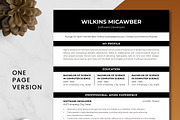 Software Developer Resume Template, a Resume Template by ResumeInventor (Thumbnail 2 of 9)