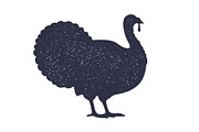Turkey bird silhouette. Graphic, an Object Illustration by Foxys Graphic (Thumbnail 1 of 3)