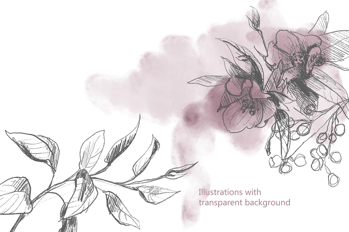 Botanical Line Art Collection, an Object Illustration by Colden Blue (Photo 8 of 10)