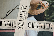 Elio & Oliver Ultra Light Sans Serif, a Sans Serif Font by SilverStag Type Foundry (Thumbnail 10 of 11)