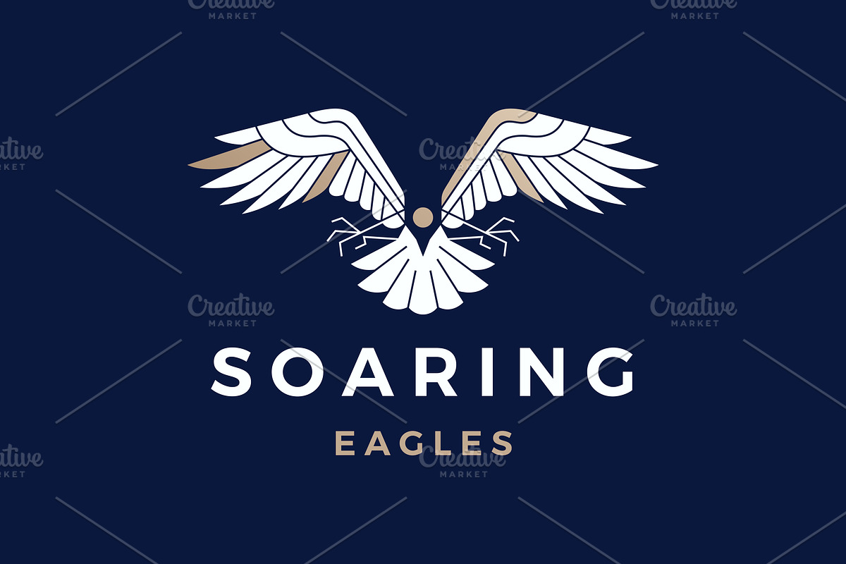 swooping eagle flying soar Logo, a Branding & Logo Template by VSTRD TYPEWORKS