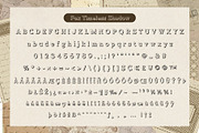 Fox Timeless 5 Font Styles, a Slab Serif Font by Fox7 By Rattana (Thumbnail 13 of 15)